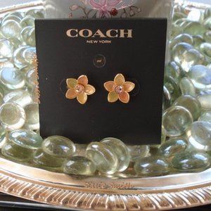 NWT Coach Transparent Wildflower Stud Earrings